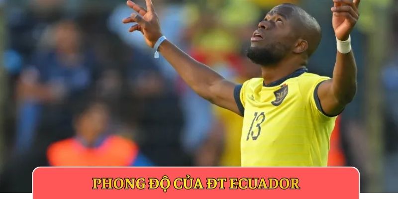 Phong độ của ĐT Ecuador
