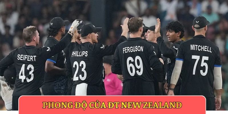 Phong độ của ĐT New Zealand