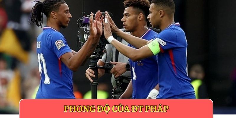 Phong độ của ĐT Pháp