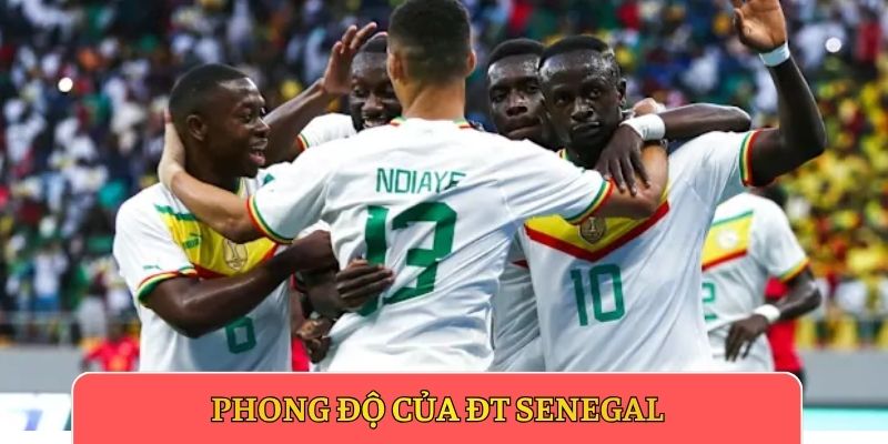 Phong độ của ĐT Senegal