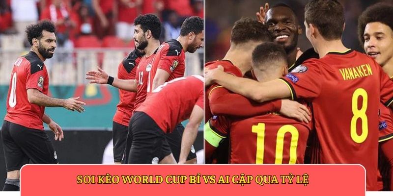 Soi kèo World Cup Bỉ vs Ai Cập qua tỷ lệ
