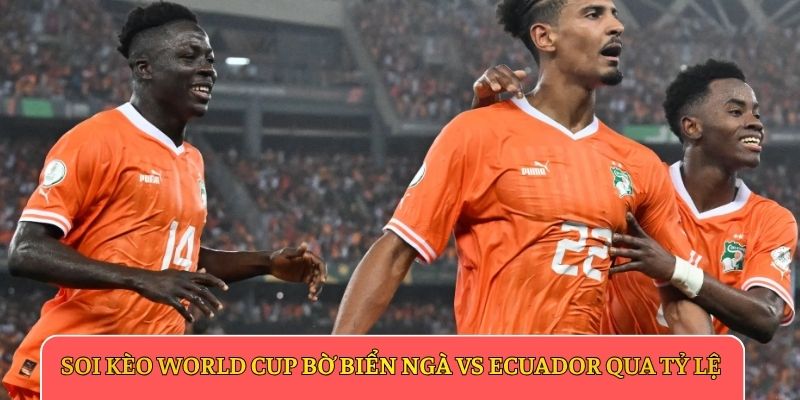 Soi kèo World Cup Bờ Biển Ngà vs Ecuador qua tỷ lệ