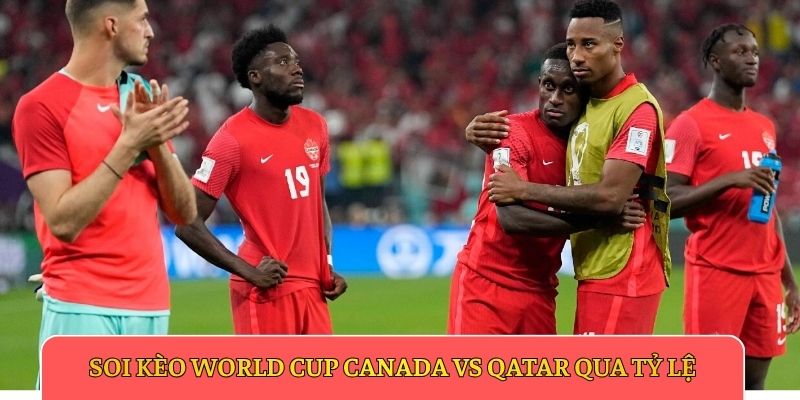 Soi kèo World Cup Canada vs Qatar qua tỷ lệ