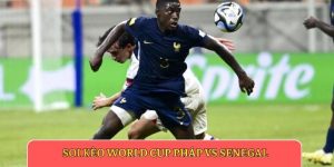 Soi kèo World Cup Pháp vs Senegal