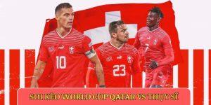 soi kèo World Cup Qatar vs Thụy Sĩ