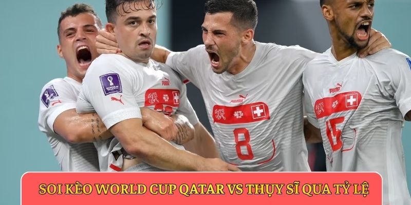 Soi kèo World Cup Qatar vs Thụy Sĩ qua tỷ lệ