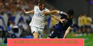 Soi kèo World Cup Tây Ban Nha vs Ả Rập